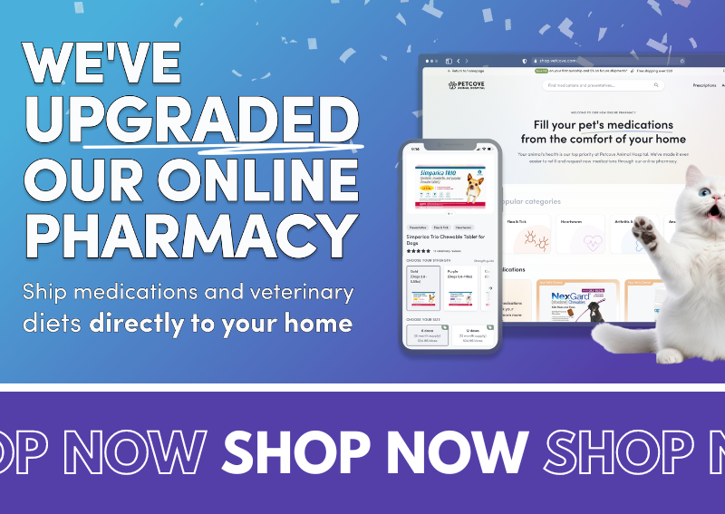Carousel Slide 2: Online Pharmacy